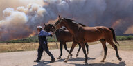 Eine Person mit Pferden, im Hintergrund ein Waldbrand.