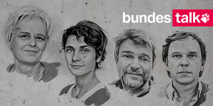 Köpfe von Ulrike Herrmann, Anna Lehmann, Bernd Pickert und Stefan Reinecke