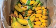 Fairtrade Bananen beim Lebensmittel-Discounter